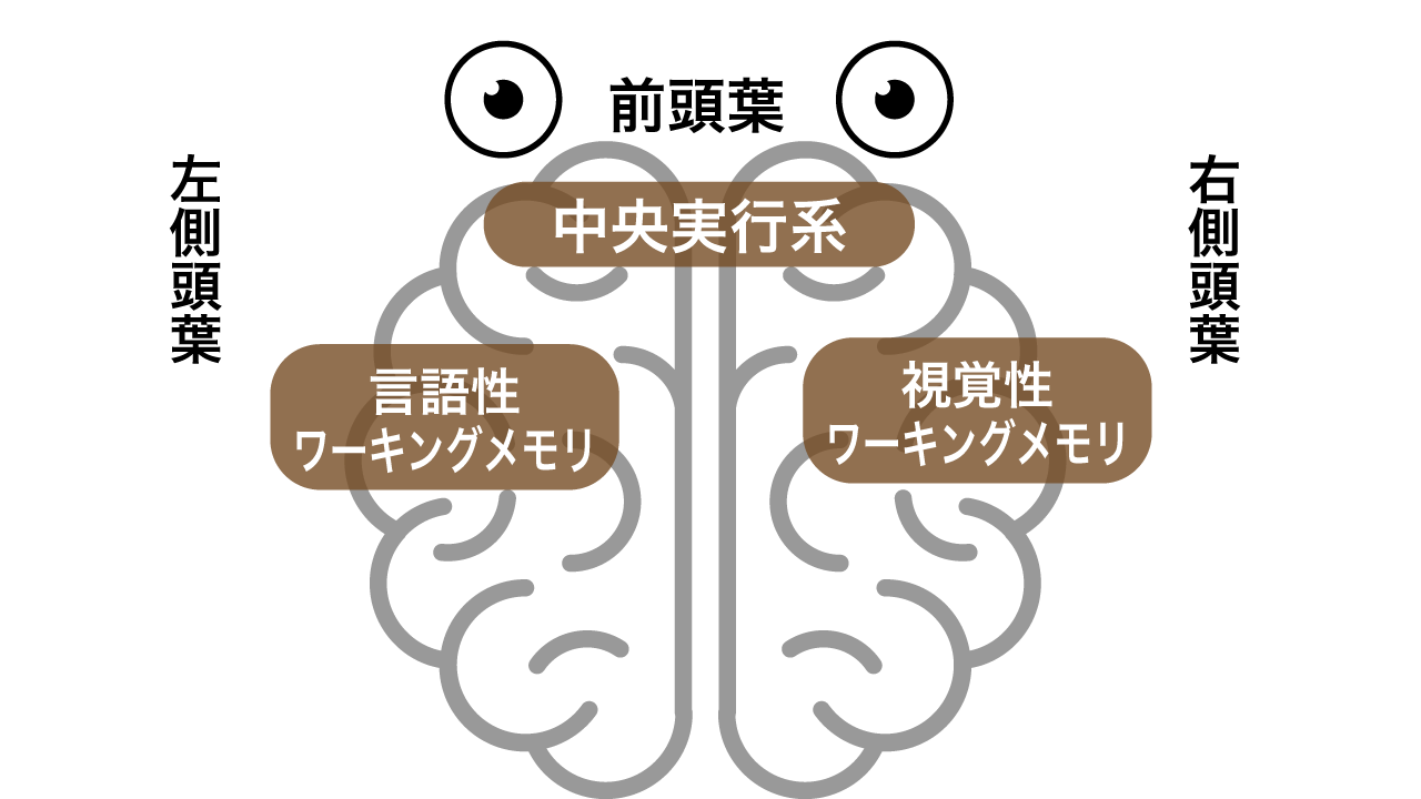 ワーキングメモリモデル